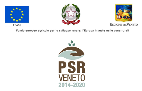 Banner_PSR_beneficiari
